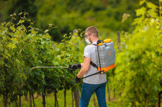 Prskalica Hortus 12 l 