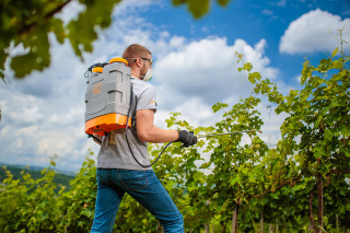 Prskalica Hortus 12 l 