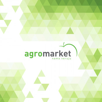 SEMERING PUMPE 10 X19 X 4.5 